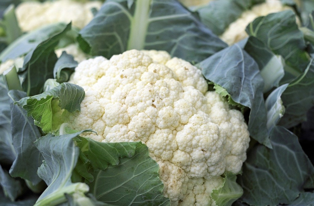 Blumenkohl pro Stück