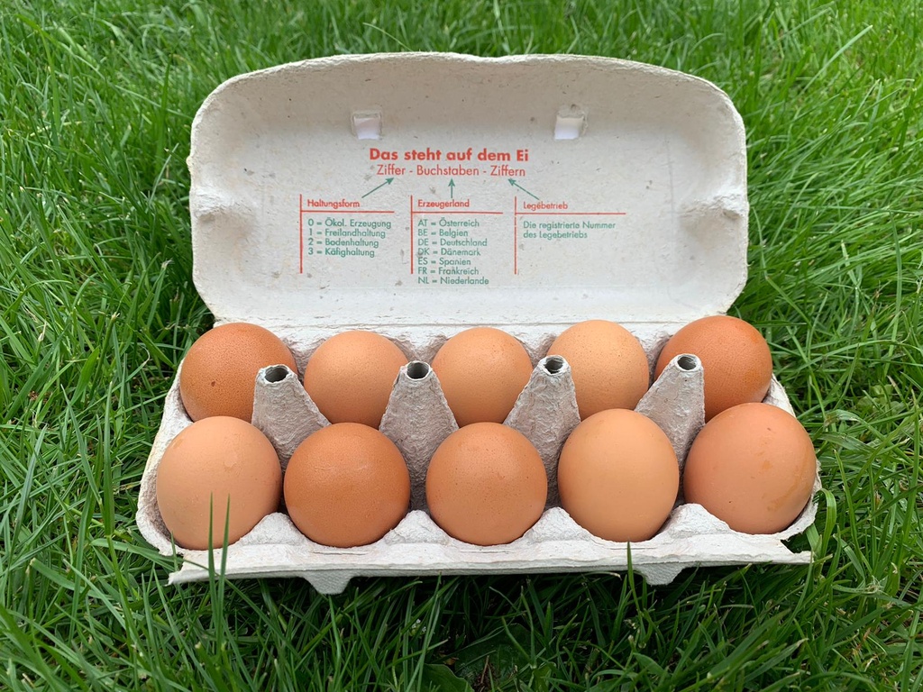 Bodenhaltung-Eier M Braun 10er