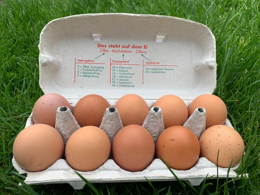 Bodenhaltung-Eier XL Braun 10er