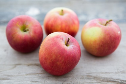 Santana Äpfel aus Südlohn 2 kg Beutel