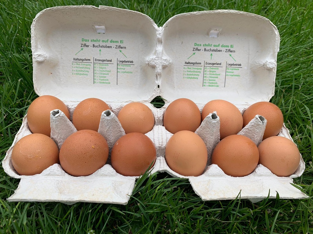 Freiland-Eier M Braun 6er