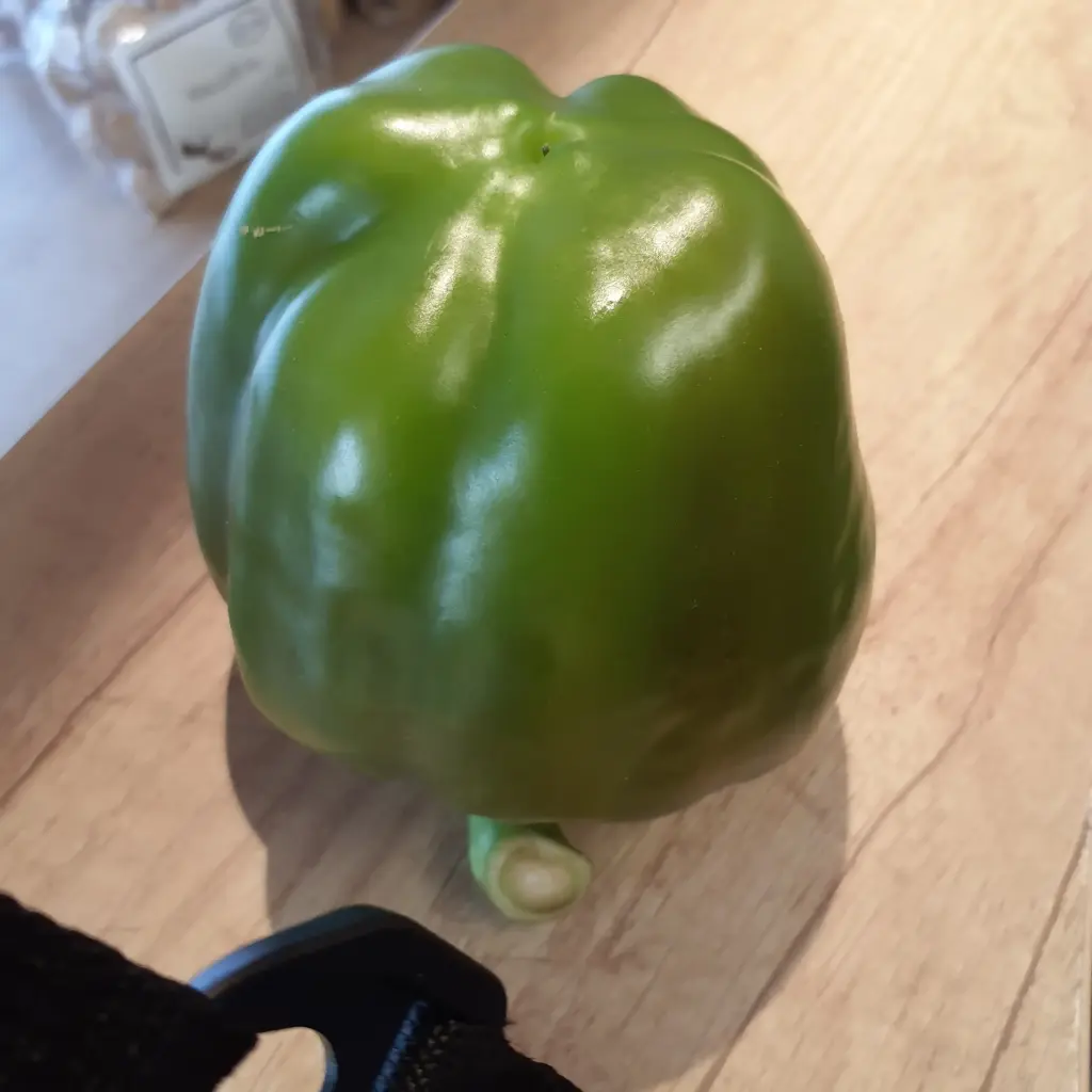 Paprika  grün