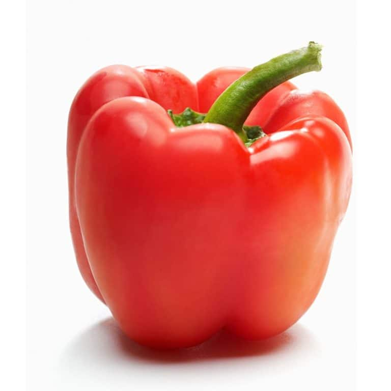 Paprika rot