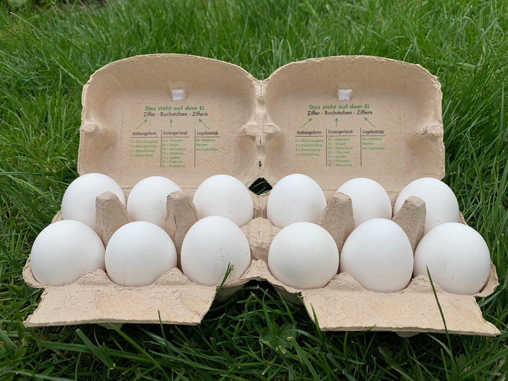 Bodenhaltung-Eier XL Weiß 5er
