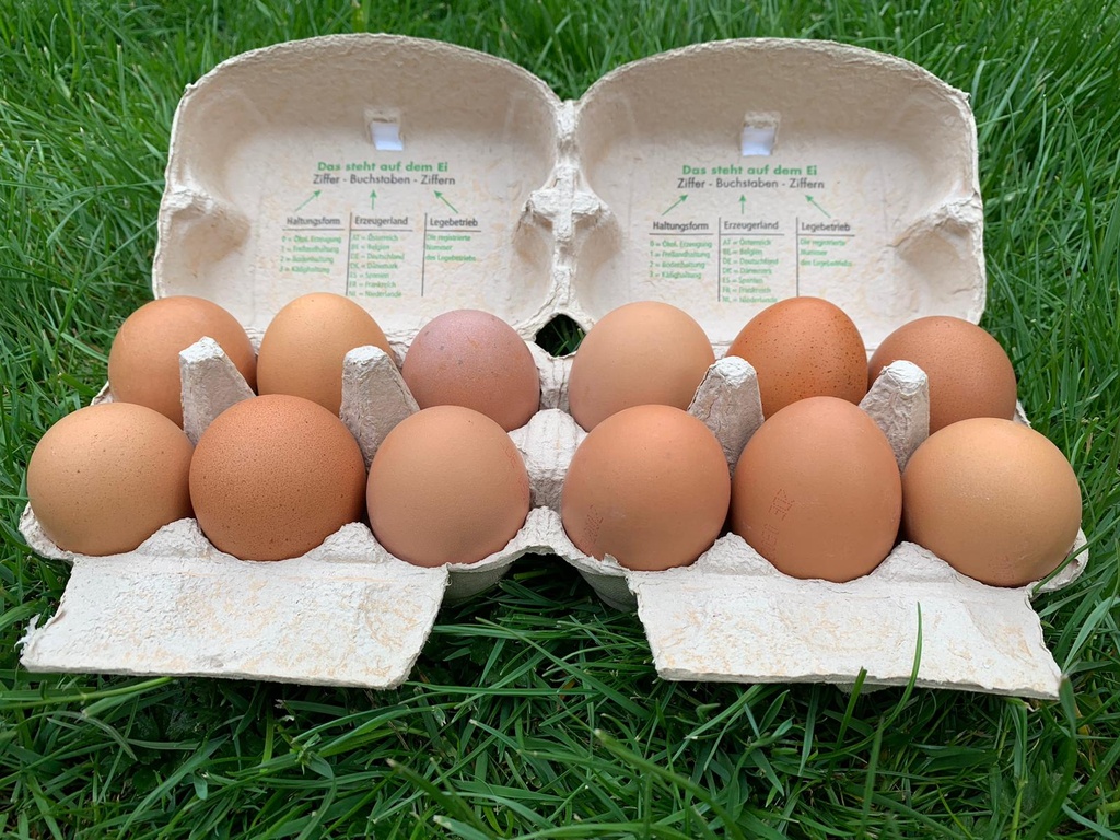 Bodenhaltung-Eier XL Braun 6er