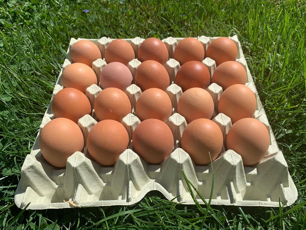 Bodenhaltung-Eier XL Braun 20er
