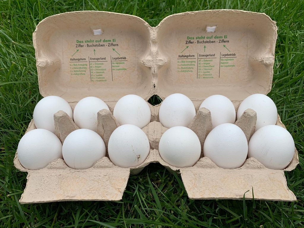 Bodenhaltung-Eier L Weiß 6er