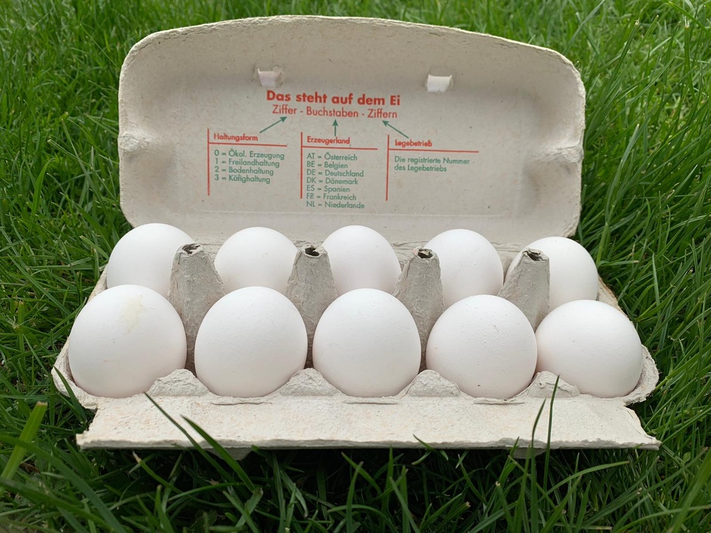 Bodenhaltung-Eier L Weiß 10er