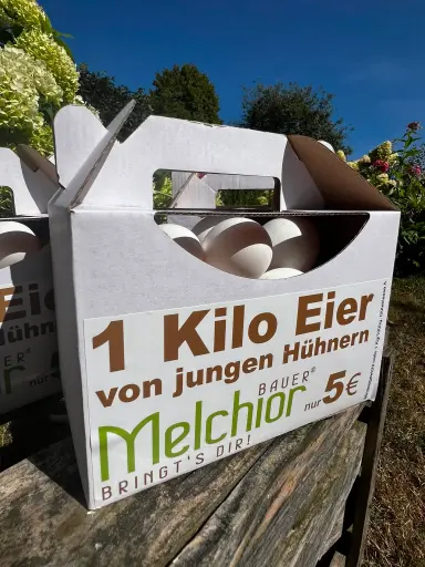 1kg Junghennen EIER weiße