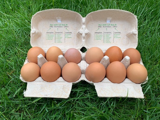 Bodenhaltung-Eier L Braun 6er