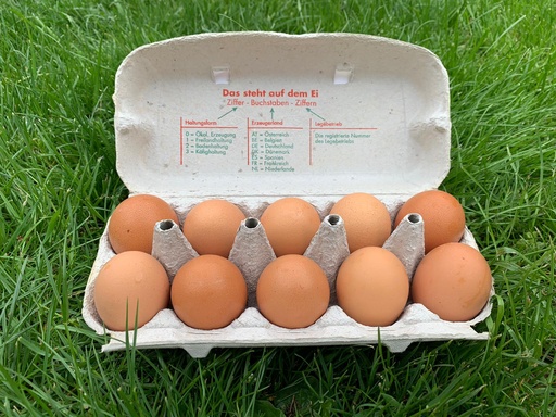 Bodenhaltung-Eier M Braun 10er