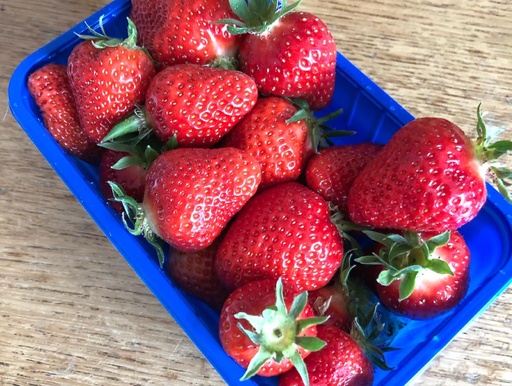 Erdbeeren im Schälchen von Rahmann 500g
