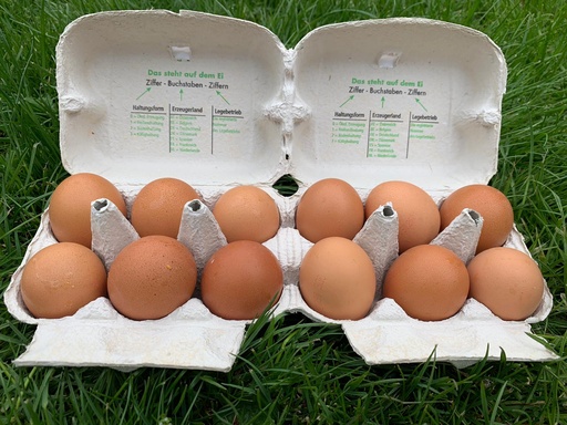 Freiland-Eier M Braun 6er