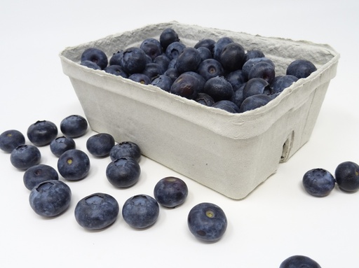 Heidelbeeren 200g im Schälchen von Rahmann 