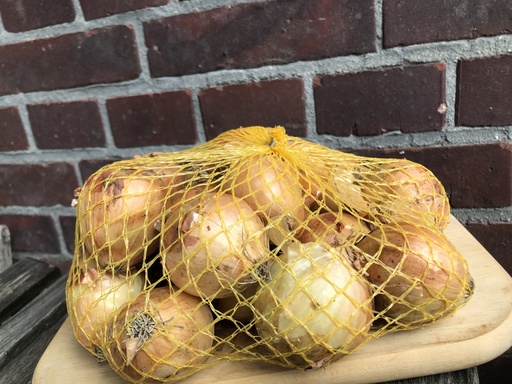 Speisezwiebeln Deutsche 1 kg, 35/50 mm