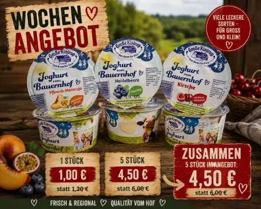 Fruchtjoghurt Angebot Paket   