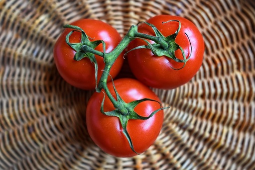 Tomaten von Ebbing