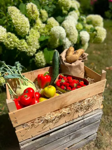 Bunte Gemüse und Obstkiste  