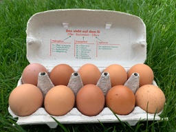 Bodenhaltung-Eier XL Braun 10er