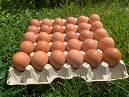 Bodenhaltung-Eier L Braun 30er