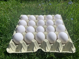 Bodenhaltung-Eier XL Weiß 20er