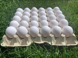 Bodenhaltung-Eier L Weiß 30er