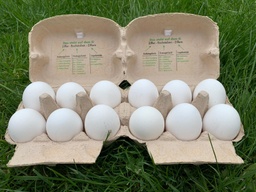 Bodenhaltung-Eier M Weiß 6er