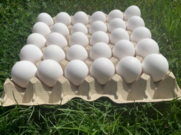 Bodenhaltung-Eier M Weiß 30er